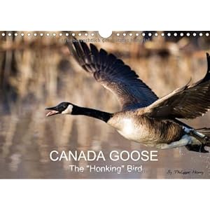 Canada Goose London